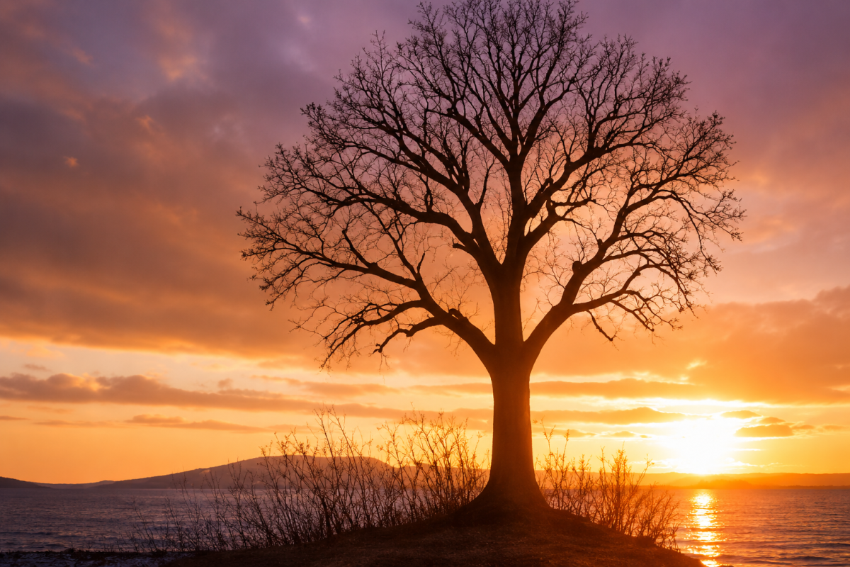 Árbol solitario al atardecer, símbolo de transformación, cierre de etapas, crecimiento interior y apertura hacia nuevos caminos.